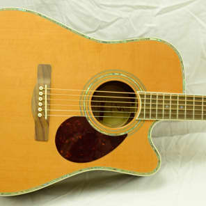 Samick D8CE Acoustic Electric Guitar with Deluxe Hard Shell Case