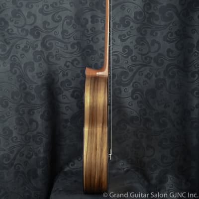 Raimundo Tatyana Ryzhkova Signature model, Spruce top classical guitar image 4