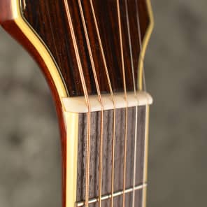 1970s-1980s Vintage RARE Dauphin Model 40 Classical Guitar
