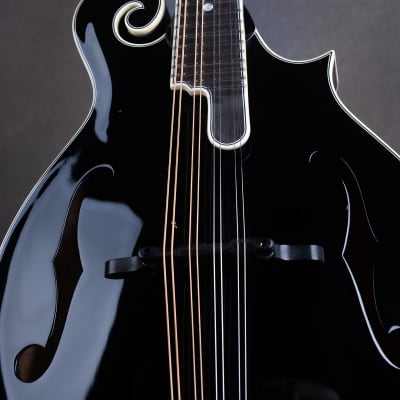Bourgeois M5-F-BT Black Top Aged F-style mandolin Brand New image 6