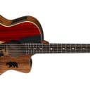Luna Vista Bear Acoustic/Electric Guitar w/Case