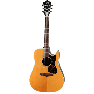 ギター GUILD GAD-40C 2007 Guild GAD-40CENAT Cutaway Dreadnought — Northern Lights Music