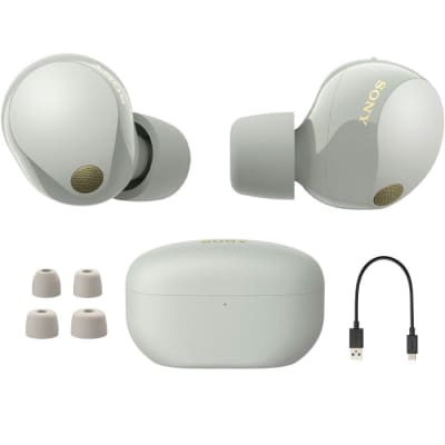 Sony Noise Canceling Truly Wireless Earbuds, Silver + Accessories + Warranty Bundle image 2