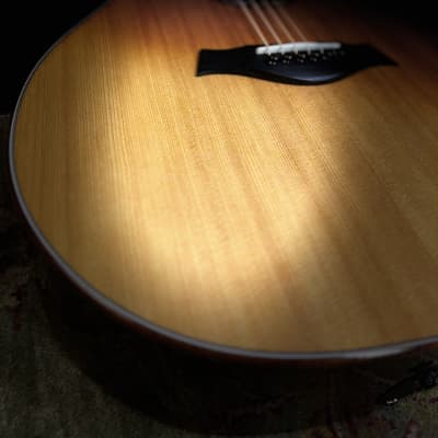 Taylor Custom GA Indian Rosewood/Torrefied Sitka Spruce - Gloss image 3