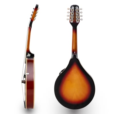 A Style 8-String Acoustic Mandolin with Pick Guard 2020s Sunset image 2
