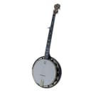 Deering Artisan Goodtime Two 5-String Banjo with Resonator