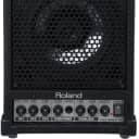 Roland CM-30 Cube Monitor PA Multi-Purpose Mixing Speaker
