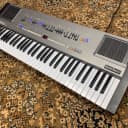 Roland HS-60 / Juno-106 1985 (Just Serviced) Analog Synthesizer with Gig Bag Very Rare Wow!