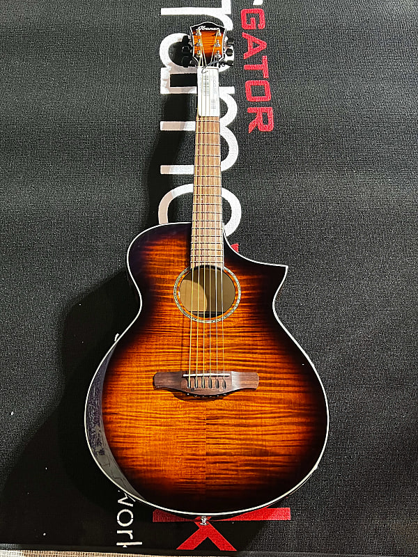 Ibanez 6 string on sale acoustic guitar