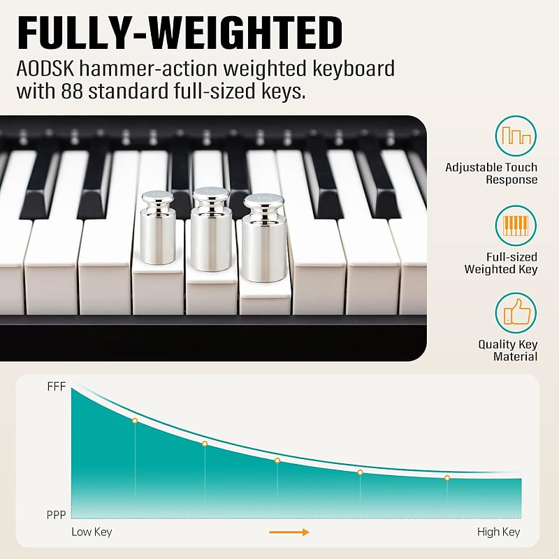 Hammer action 2025 vs weighted keyboard