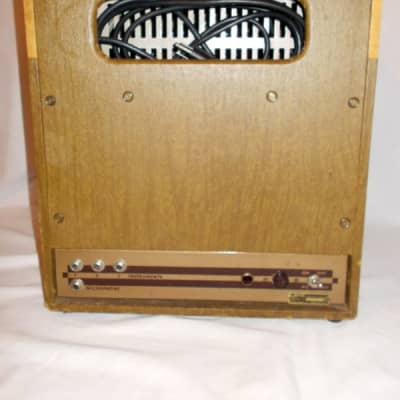 1955 Premier 110 Tube Amp W/ Stand Alone Tube  Reverb Tank / Unit & Foot Switch image 20