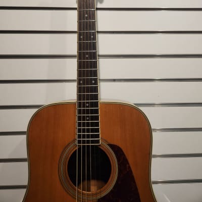 Morris MD-506 Acoustic Guitar (Cherry Hill, NJ) | Reverb