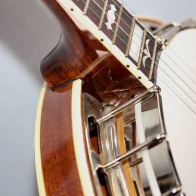 Goldstar GF-85 Flathead Banjo image 6