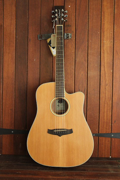 Tanglewood TW10 Winterleaf Dreadnought Acoustic Electric Guitar