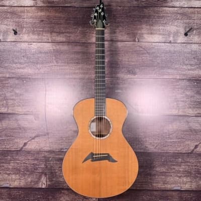 Breedlove SC20 Walnut Acoustic Guitar (Phoenix, AZ) image 1