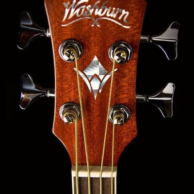 Washburn AB5 Acoustic Electric 4 String Bass w/Gig Bag - NEW image 4