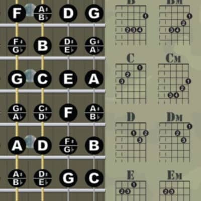 A New Song Music Laminated Guitar Fretboard & Chord Chart Instructional Poster 11" x 17" Camouflage imagen 4