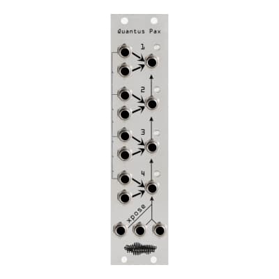 Noise Engineering Quantus Pax Silver Panel [Three Wave Music]