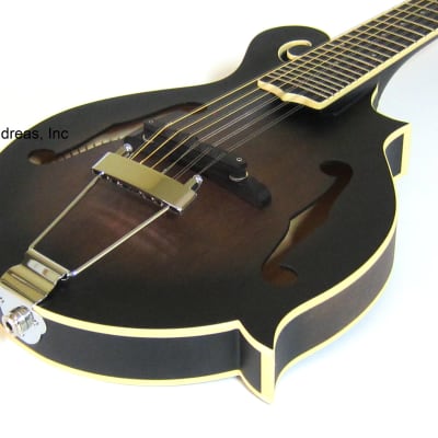 F-Style 12-String Mando-Guitar w/ Hardshell Case image 2