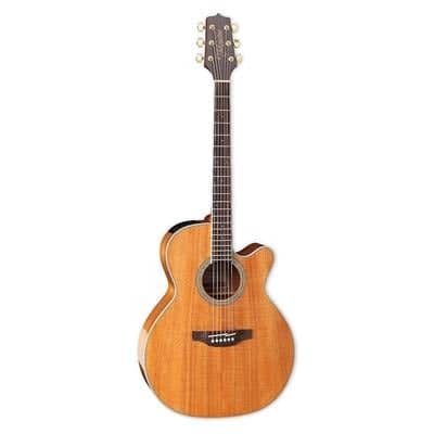 Takamine reverb deals