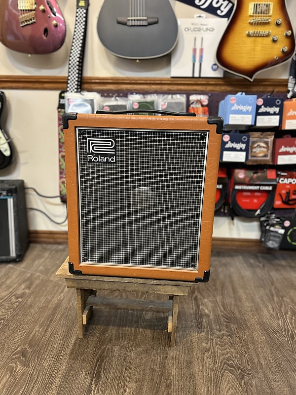 Roland CUBE-100 2-Channel 100-Watt 1x12
