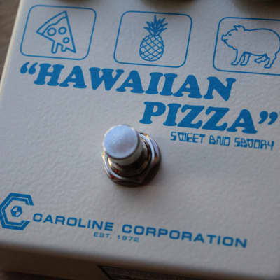 CAROLINE  "Hawaiian Pizza Fuzz" image 10