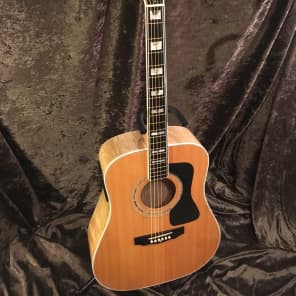 Guild D60 Maple Back "90s Westerly Wonder" Rare Bird  Acoustic Electric Top of the Line Model image 3