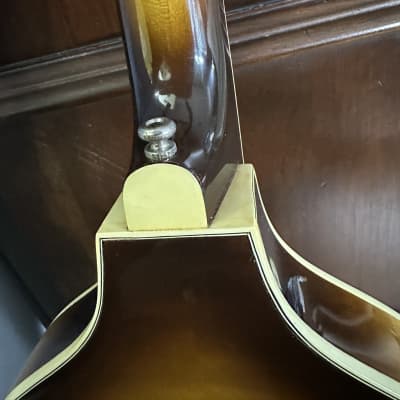 Hofner 500/1 Violin Bass Left-Handed 1967 - 1979 - Sunburst image 13