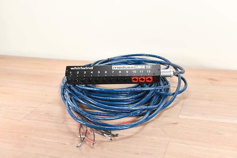 Whirlwind Mini 12 12-Channel 100' Audio Snake (church owned) CG000PB