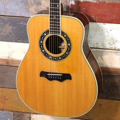 Bozo Model B80S Acoustic With Pickup image 7