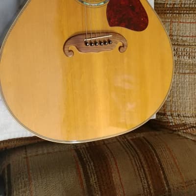 Pimentel Indian Rosewood Steel String Acoustic 1993 image 1