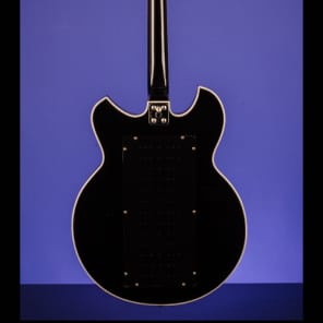 Godwin Guitar Organ (16/4) 1976 Black image 6
