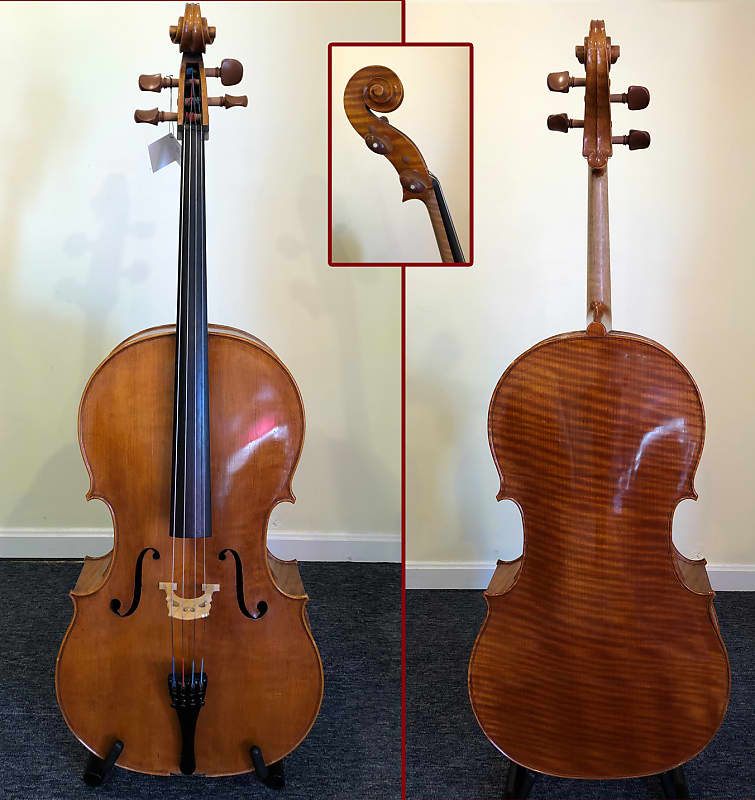 4/4 Tanglewood 800 Cello image 1