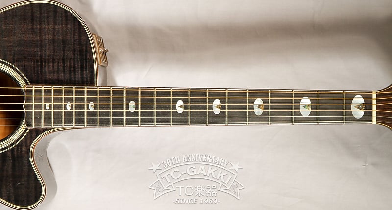 Takamine 1984 PT-118 | Reverb