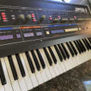 Roland Jupiter 6 in *Exceptional* condition, likely the cleanest example on the market.