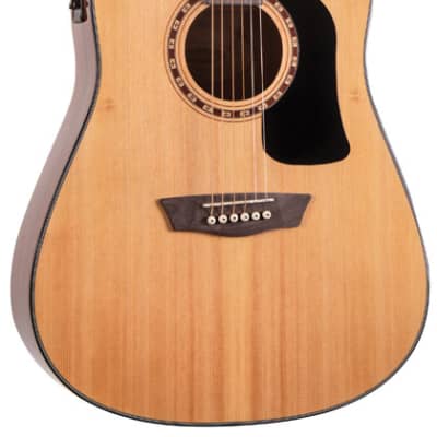 Washburn Apprentice Series D5CE Acoustic/Electric Guitar Pack for sale