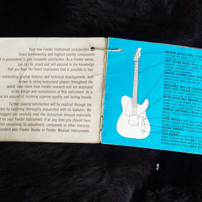 Fender Telecaster 1969 image 18