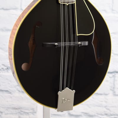 Pava A5 Pro Mandolin- Black Top for sale
