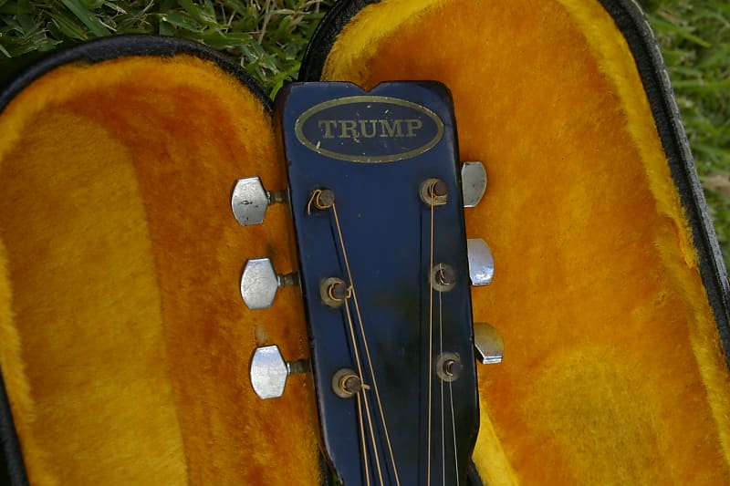 Trump Dreadnought with Vintage Case image 1