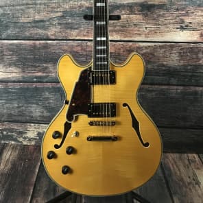 D'Angelico Left Handed Excel DC Natural Semi Hollow Electric Guitar image 1