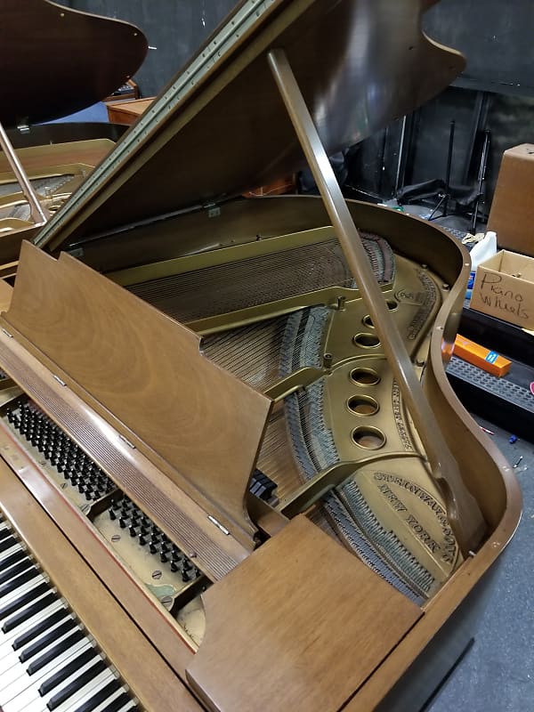 Steinway M Grand Piano image 1