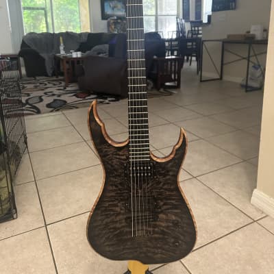 LEF MSS custom guitar for sale