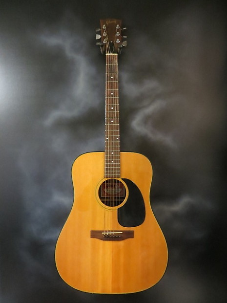 Gibson blue ridge custom hot sale