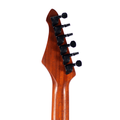 10S Super Tele  Single Cut Camphor Burl The NAMM 2019 Sample Electric Guitar image 7