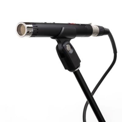 Lauten Audio LA-120 Small Diaphragm FET Condenser Microphone Stereo Pair On Sale image 3