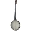 New Deering Artisan Goodtime Americana 5-String Open Back Banjo - Made in USA