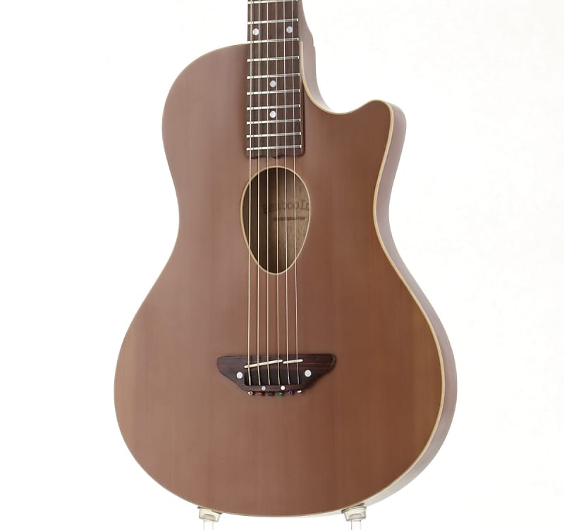 Mahogany Vision Acoustic Guitar