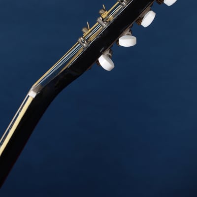 Kay 395 Electric Mandolin 1960s / Anyone for Venice? image 18