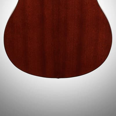 Ibanez 4 String PFT2NT Tenor Acoustic Guitar, Natural Gloss image 9