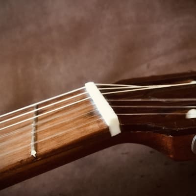 vintage classical guitar Di Giorgio, model Estudante n°18, made in Brazil, 1980 image 23